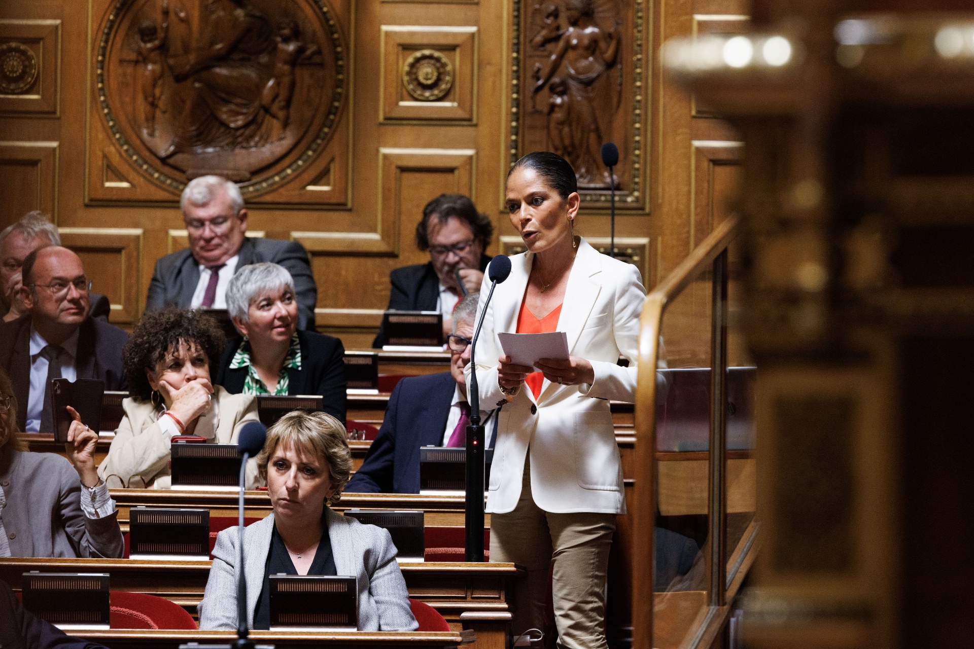 Marie-Do Aeschlimann au Sénat